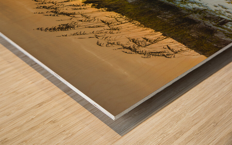 Autumn Sunset Dunes in Hilton Head Wood print