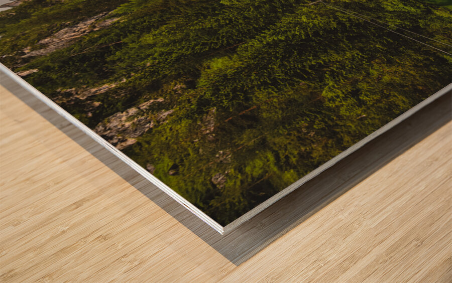 Toblach Hohlenstein Valley Durrensee  Wood print