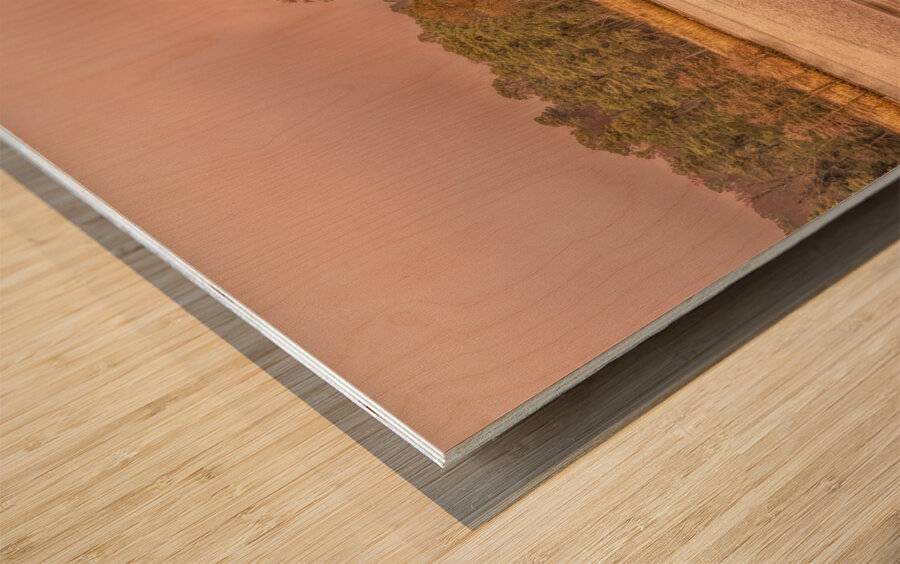 On the Road to Jamestown Wood print