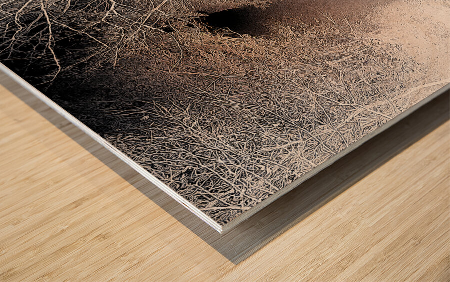 Down the Ominous Tunnel Wood print