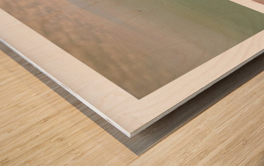 Pensacola Beach  Pelican Pilings Triptych Wood print