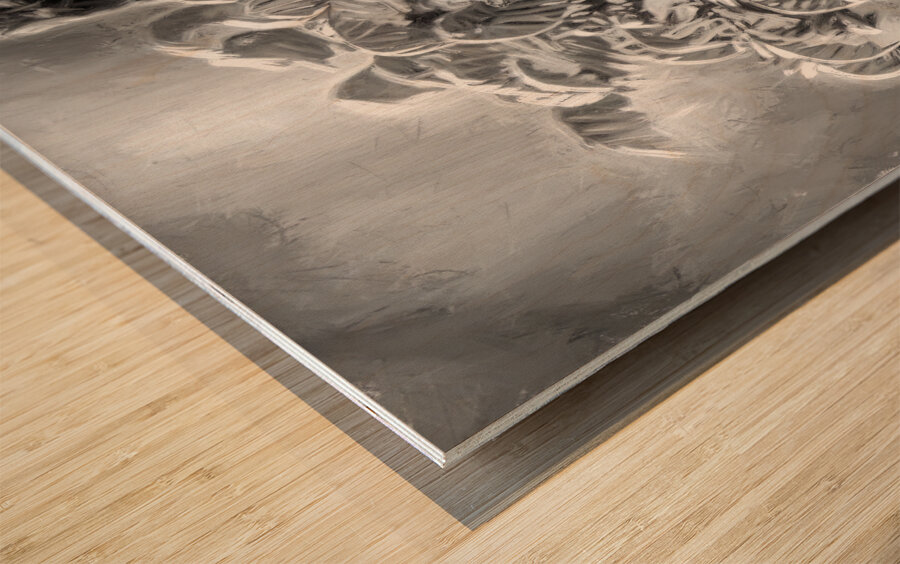 Resurrection Tree Fern Wood print