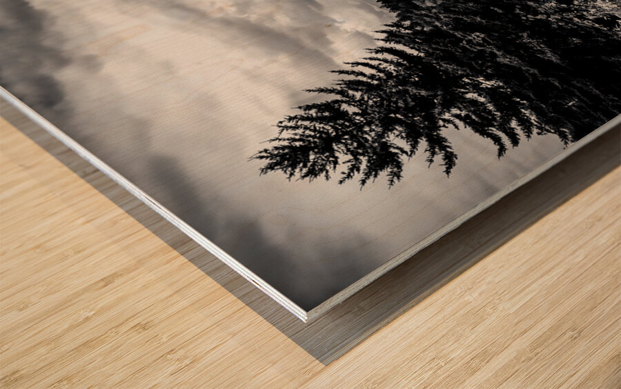 Tennessee Mountains Perfection in Black and white Wood print