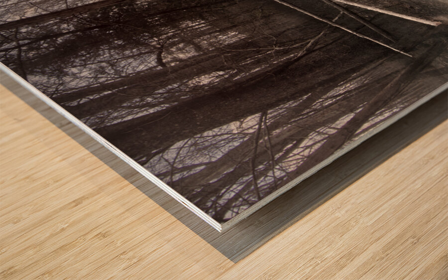 Booker T Washington Monument Barn and Buggy Wood print