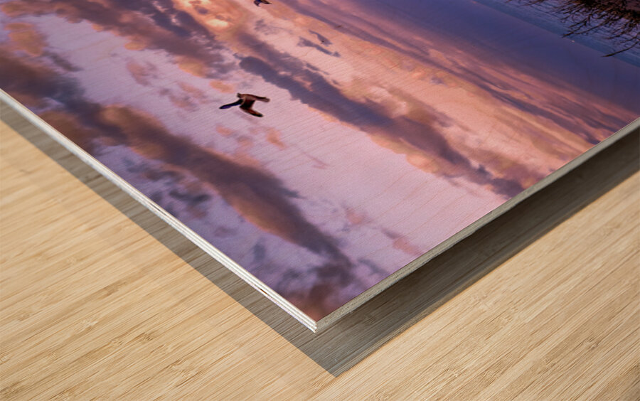 Port of Canaveral Container Ships Sunset Wood print