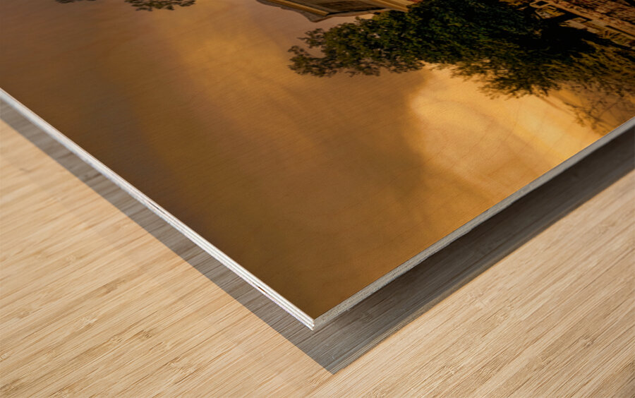 South Carolina St.Stephens Episcopal Church Wood print