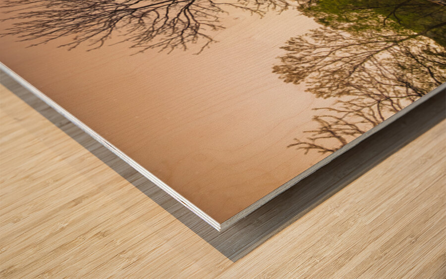 Old Virginia Mill at Sunrise Wood print