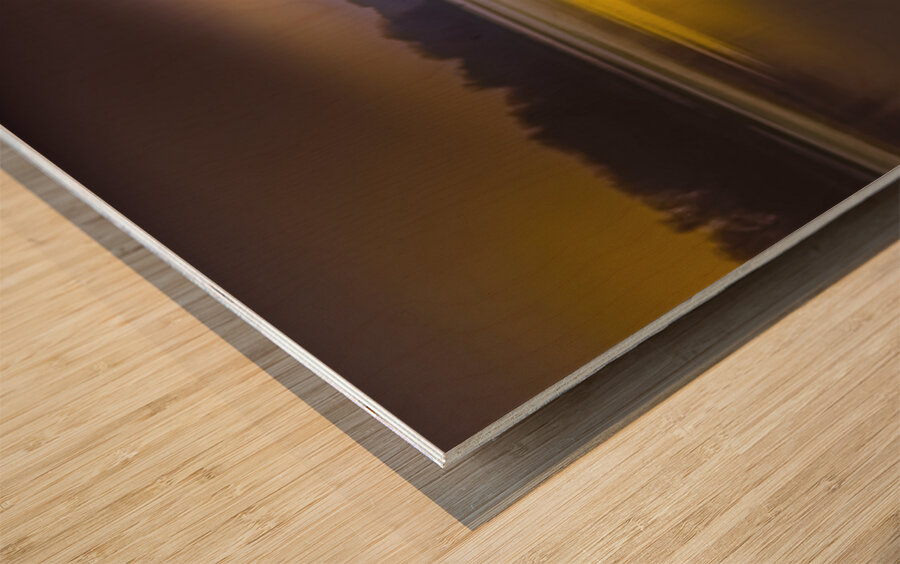 SC Inland Coastal Waterway Dock Wood print