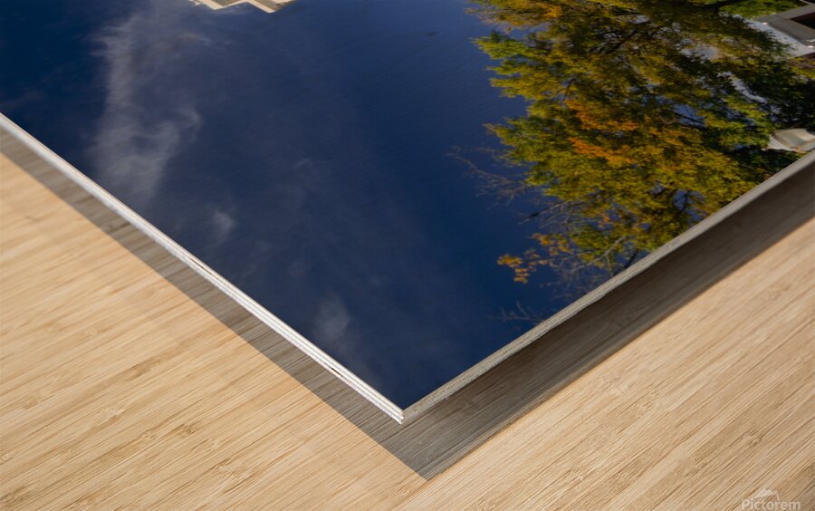 RSA Building Montgomery Alabama  in Color Wood print