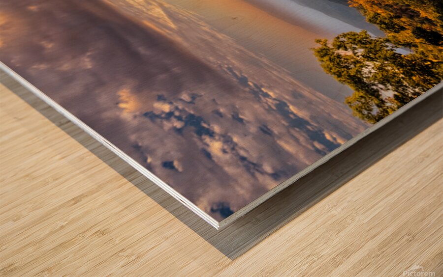 Virginia Blue Ridge Parkway Sunset Fog Wood print