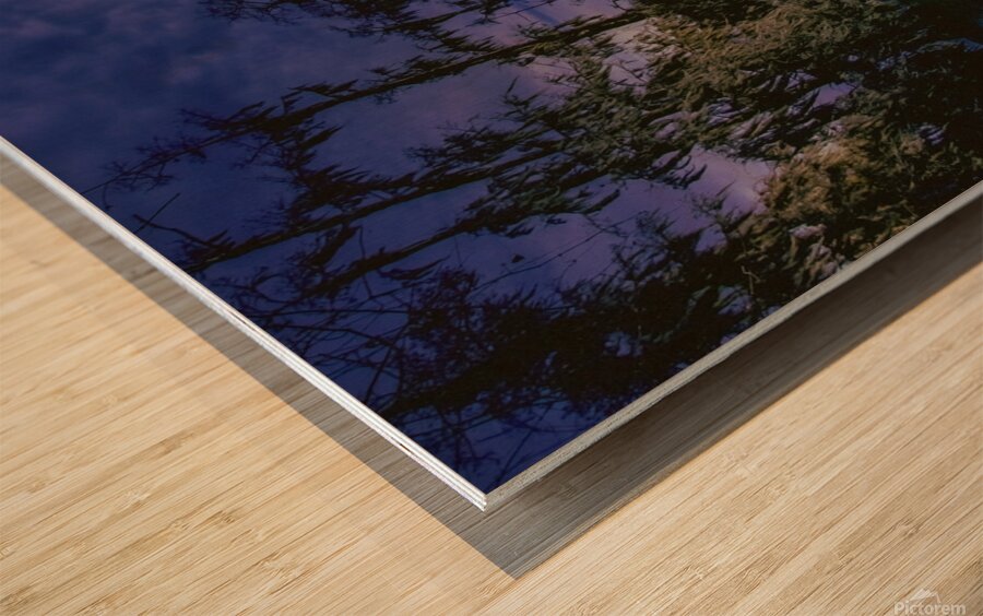 Winter Wanderings at Lake Martin Louisiana Wood print