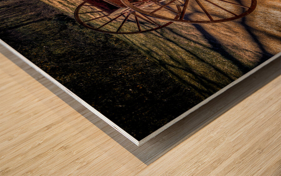 Tennessee Cades Cove Tipton Place  Buckboard Wood print