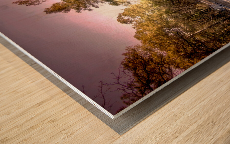 Story of an Old Francis Marion National Forest Church Wood print