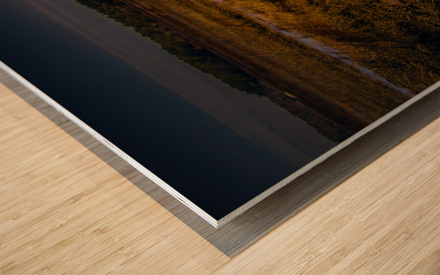 South Carolina  Marsh Heron Sunrise Wood print