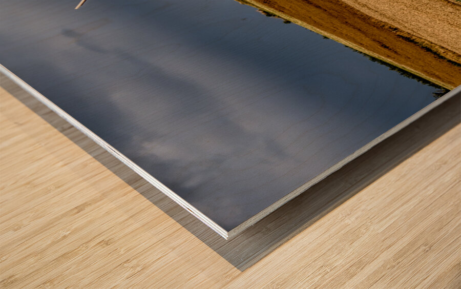 Mont Saint Michel Moulin de Moidrey Windmill  Wood print