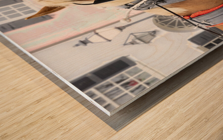 Charleston Rainbow Row Carriage and  Horse  Wood print