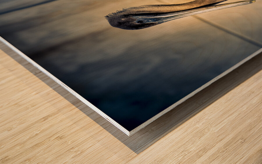 Big Beautiful Strutting Bird Wood print