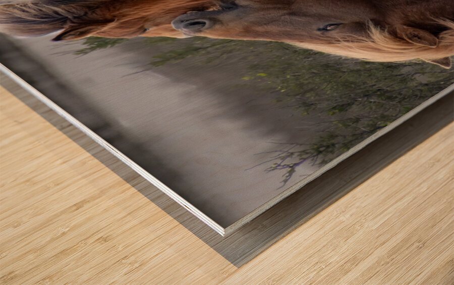  Nip of the Day Wood print