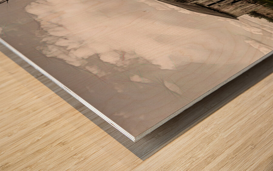 Virginia Eastern Shore Shack Wood print