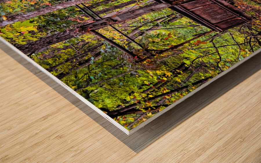 Wrong Way Home Wood print