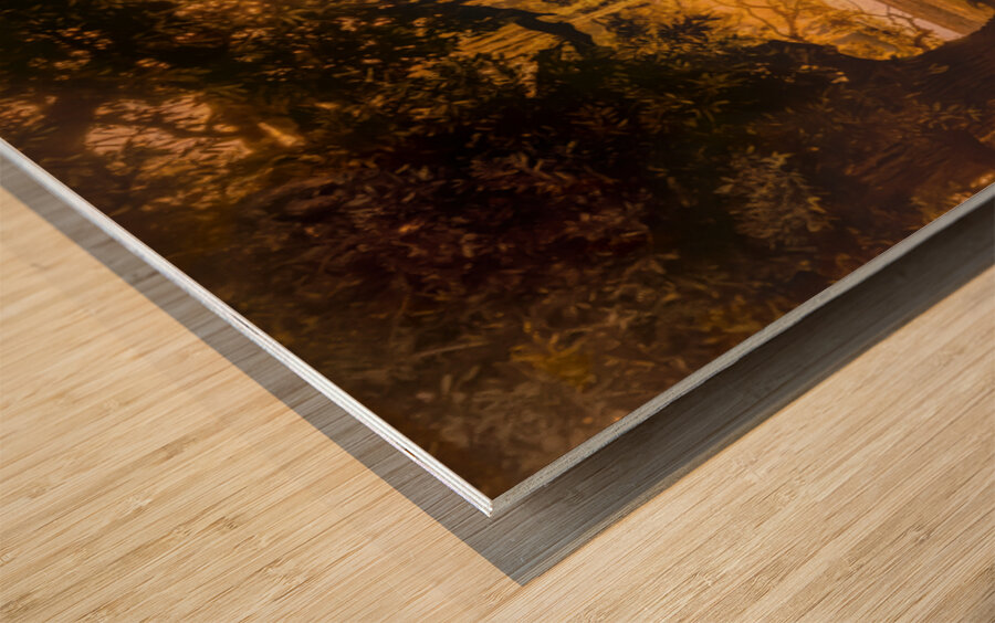 Sunrise Through the Trees Wood print