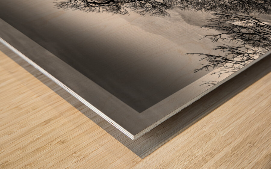 Blue Ridge Curves are the Best Wood print