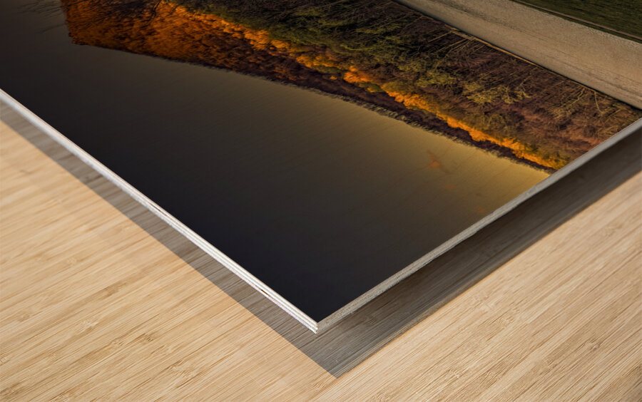 Say Goodnight World Wood print