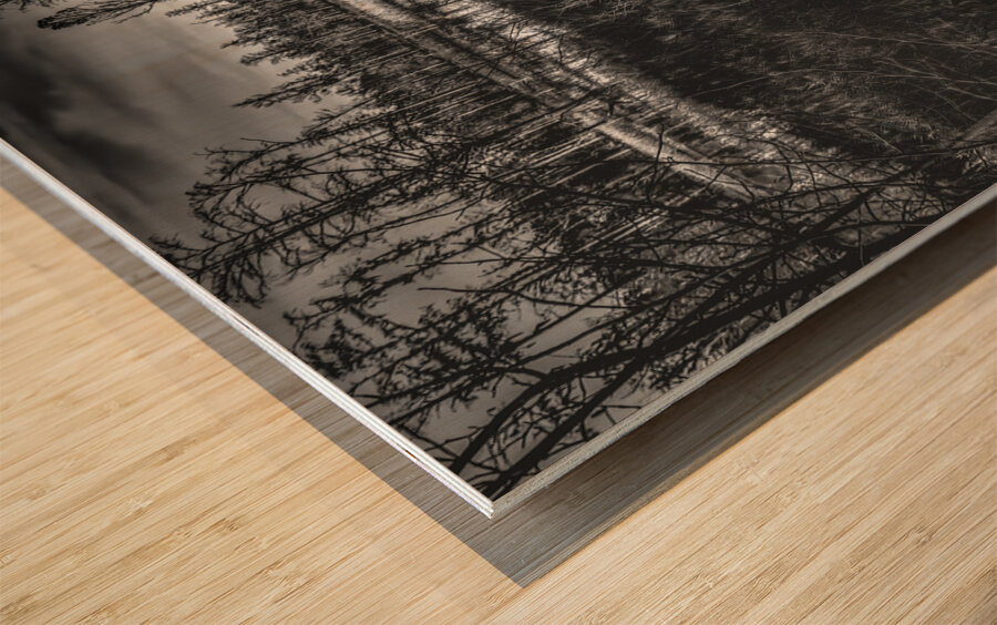 Pathway Through the Marsh Wood print