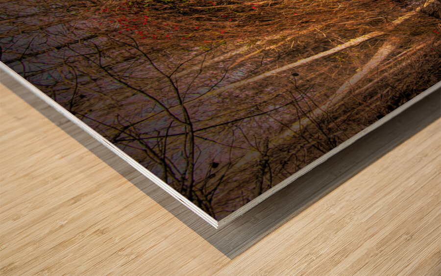 Marsh Colors of Winter Wood print