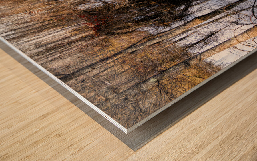 The Golden Triumvirate Wood print