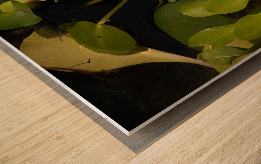 In Remembrance of Summer Wood print