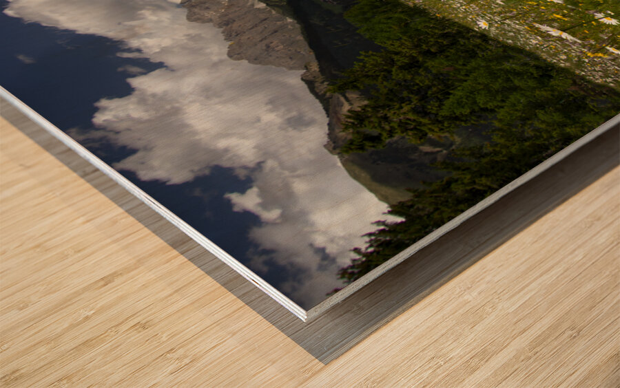 Dolomite Wild Flower Heaven Wood print