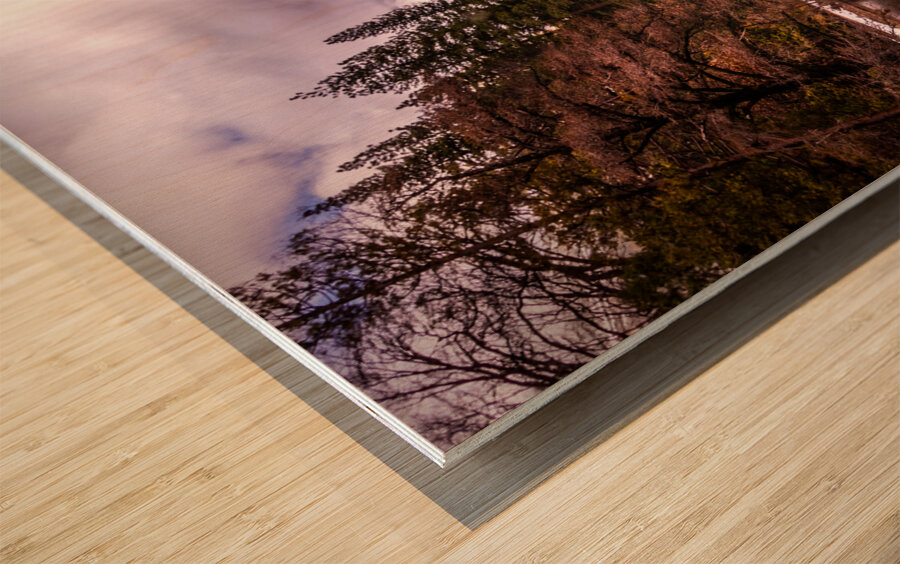 Up the Yosemite Merced River Valley Wood print