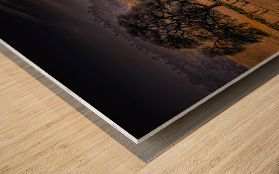 Mariposa County Farm Wood print