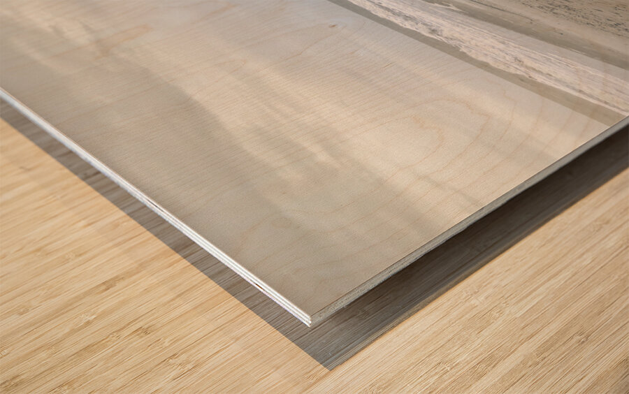 Pawleys Island Beach Pier and Fence Wood print