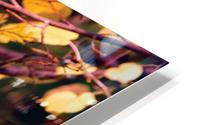Autumn branches HD Metal print