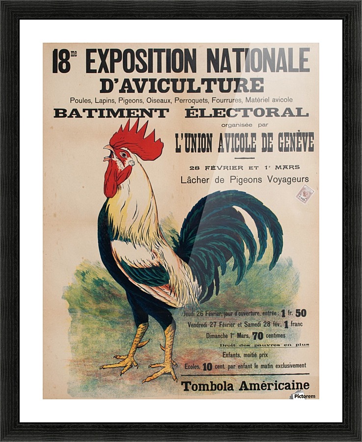 Exposition daviculture, Geneve, 1925 Picture Frame print