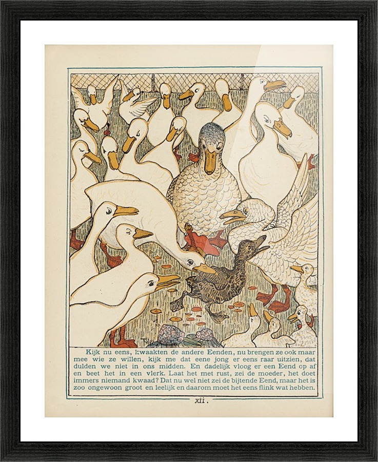 Ducks Picture Frame print