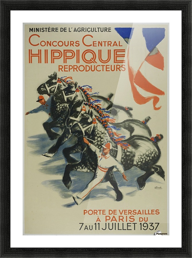 Concours Central Hippique Poster Picture Frame print