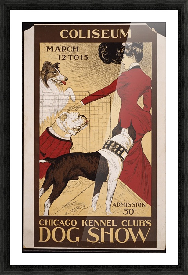 Dog Show 2 Picture Frame print