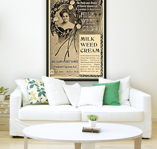 Milk weed cream Reproduction