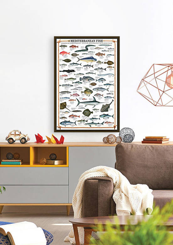 Mediterranean Fish Reproduction