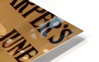 Harpers June HD Metal print