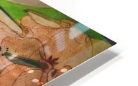 Birds HD Metal print