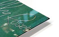 Casa Manana HD Metal print