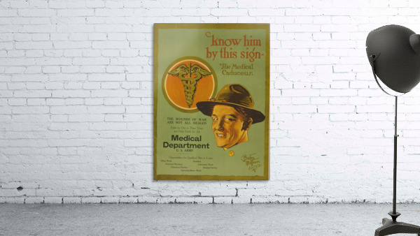 Medical Corps Wall Preview