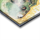 Skull Acrylic print