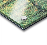 Trees and undergrowth Acrylic print