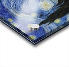 Starry Night Acrylic print