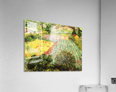 Blooming Field Acrylic Print